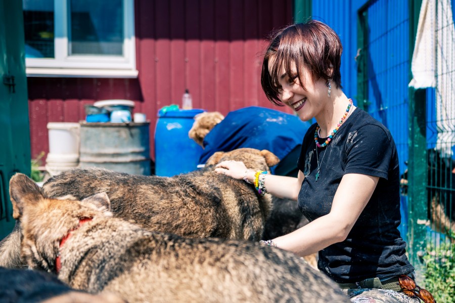 Quelles sont les formations pour devenir soigneur animalier ?